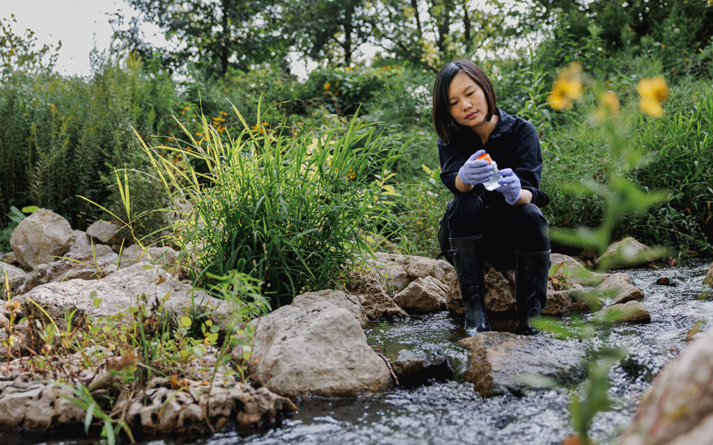 Fangqiong Ling, assistant professor of energy, environmental & chemical engineering at McKelvey School of Engineering, takes water samples from a stream in Forest Park for testing. (Photo: Whitney Curtis/Washington University)