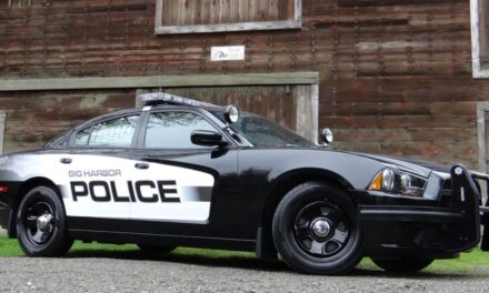 Gig Harbor Police Blotter: Suspect Tases woman during robbery attempt – Gig Harbor Now