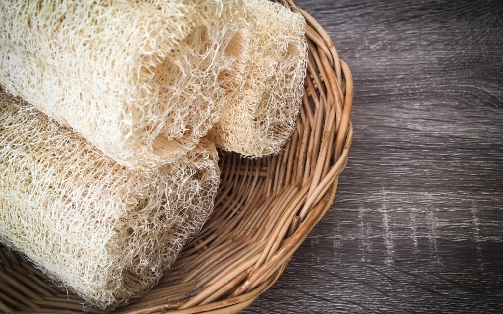 You’ll never believe what loofahs are really made of