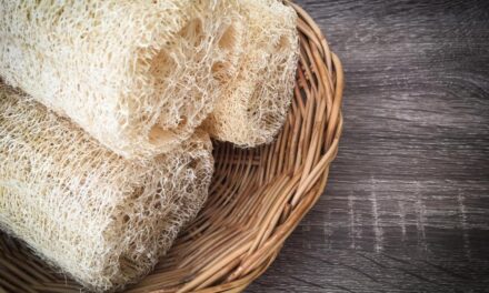 You’ll never believe what loofahs are really made of