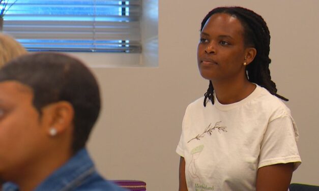 Tampa town halls aim to prevent the deaths of Black babies at birth