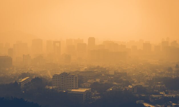 Study links long-term air pollution exposure to postpartum depression risk