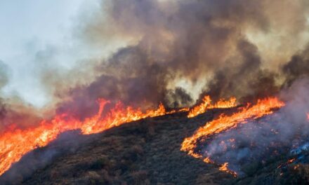 Wildfire pollution linked to cardiopulmonary ED visits among vulnerable populations