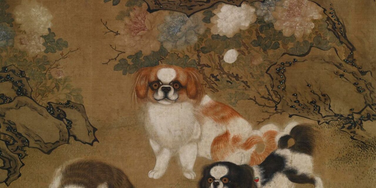 ‘Looty’: How a dog stolen from China sparked a British luxury craze | CNN