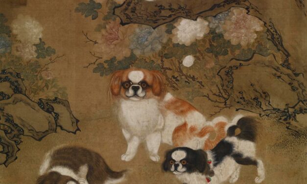 ‘Looty’: How a dog stolen from China sparked a British luxury craze | CNN
