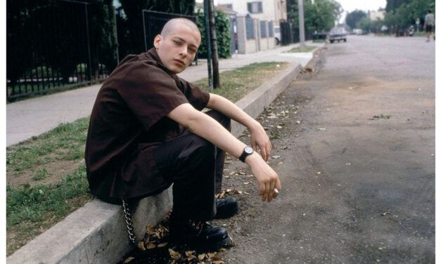 Did American History X foreshadow the resurgence of white nationalism in the US?