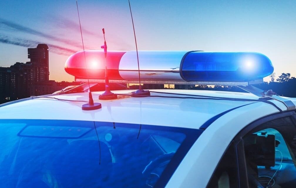 String Of Vehicle Burglaries: Palos Verdes Crime Blotter