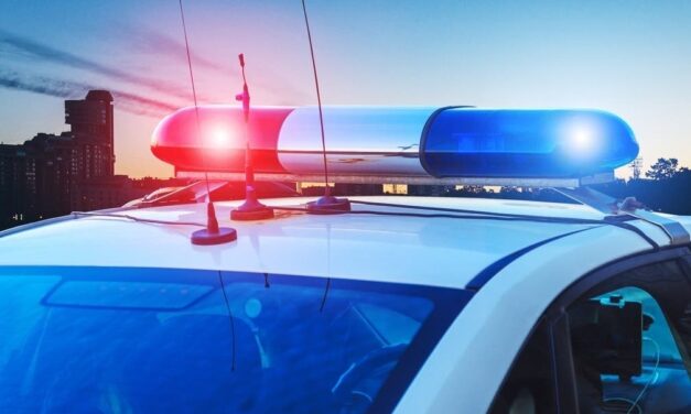 String Of Vehicle Burglaries: Palos Verdes Crime Blotter