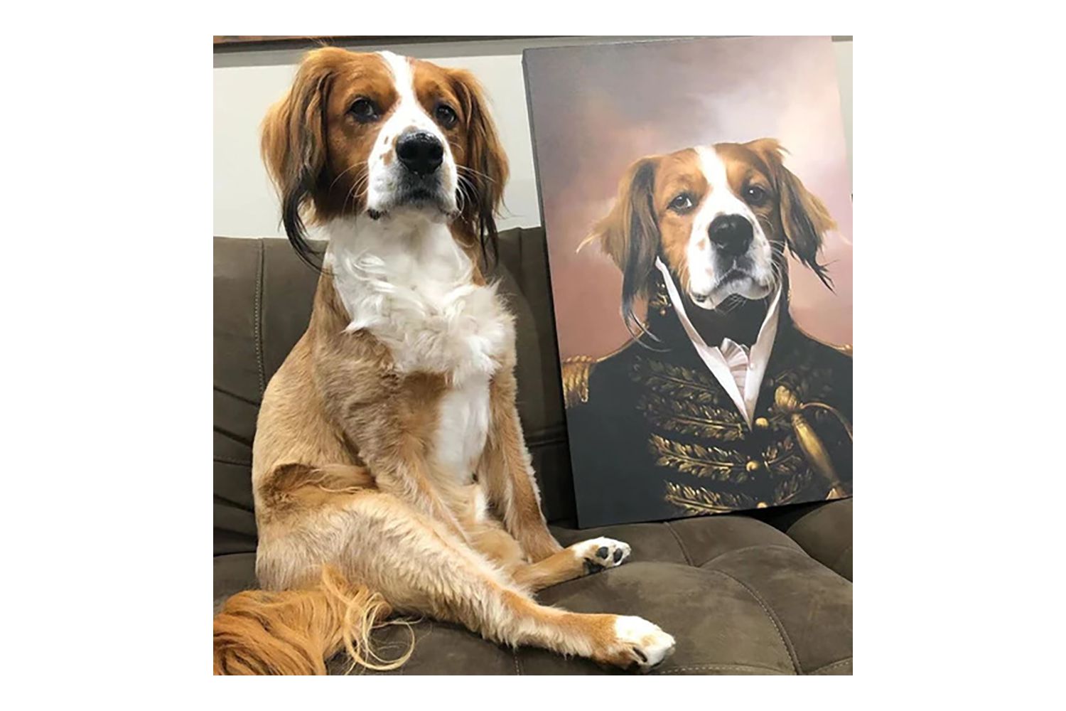 The General Custom Pet Canvas