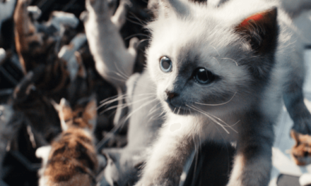 ‘The Marvels’: The Cast and Crew on Wrangling Flerkittens