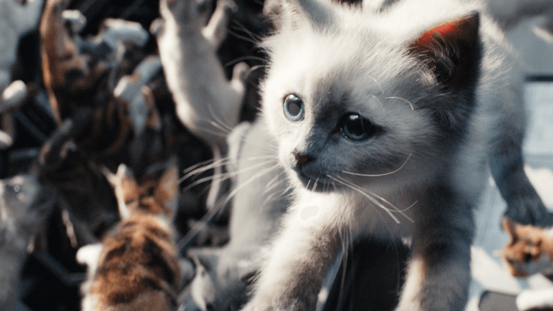‘The Marvels’: The Cast and Crew on Wrangling Flerkittens