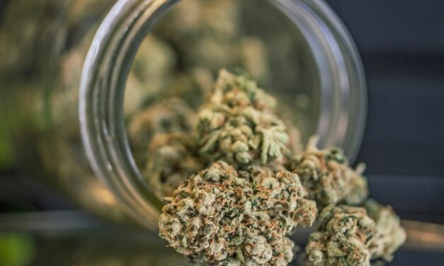 Legalization of Cannabis Boosts Use Disorder in Older Patients With Chronic Pain