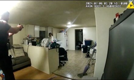 Bodycam video shows US policeman fatally shooting Black woman in her home